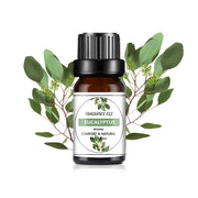 10Ml Huile d'essentielle pour diffuseur